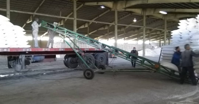 عملکرد برجسته شرکت خدمات حمایتی کشاورزی استان همدان در کبودرآهنگ؛ توزیع بیش از ۱۲۶۰۰ تن کود یارانه‌ای تا پایان مهرماه