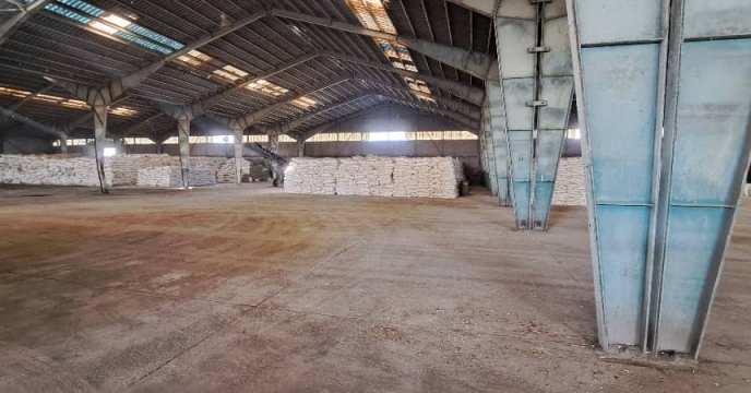 توزیع 65 تن کود در شهرستان دهاقان، حمایت از کشاورزان در فصل کشت پائیزه