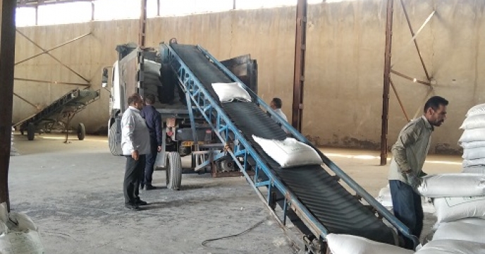 تامین و توزیع 190 تن کود کشاورزی پتاس بر اساس برش کود بهاره در شهرستان خدابنده 