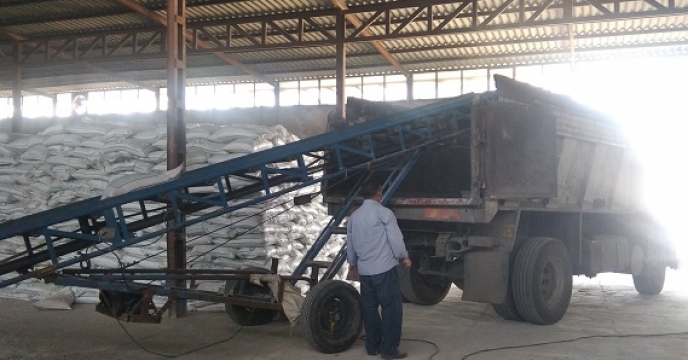 تامین و توزیع  یک هزار و 343 تن کود کشاورزی اوره در شهرستان ماهنشان بر اساس برش کودی کشت بهاره 