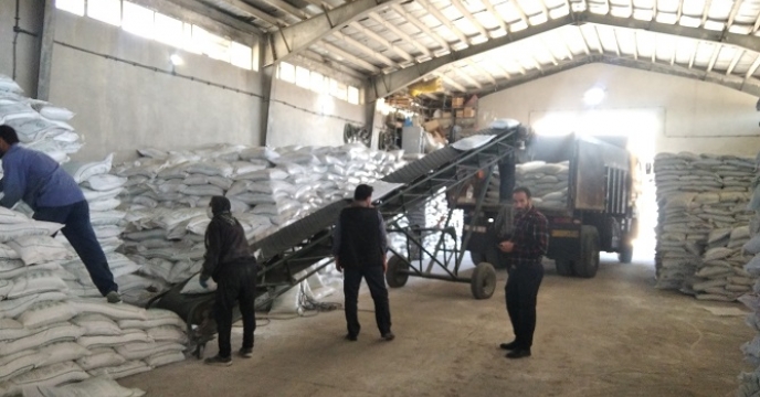 تامین و توزیع یک هزار و 42 تن کود کشاورزی پتاس در شهرستان ماهنشان بر اساس برش کودی بهاره 