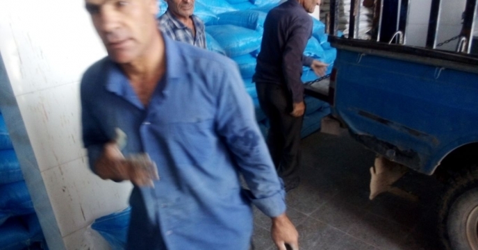 تحویل کود به کشاورزان توسط کارگزاران شرکت خدمات حمایتی کشاورزی استان کهگیلویه و بویراحمد