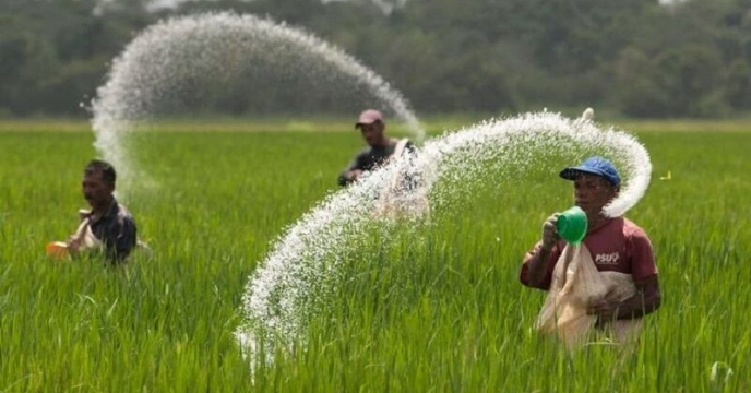 آمادگی گلستان برای تامین کود شیمیایی سال زراعی جدید