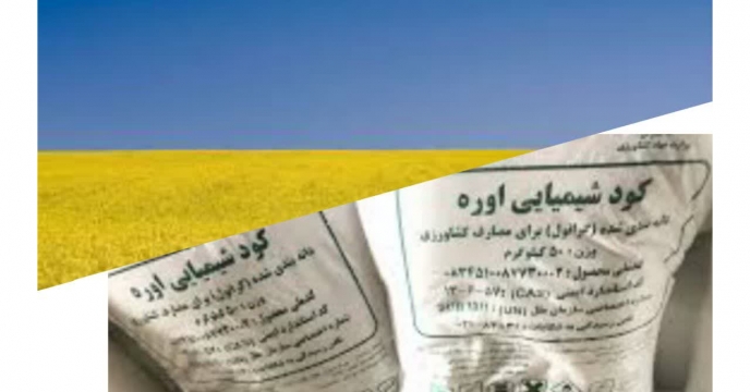 توزیع مقدار۲۹۳ تن کود کشاورزی یارانه ای برای مزارع کلزا شهرستان کلاله در پنج ماه سال جاری