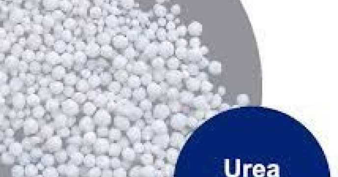 تامین و توزیع مقدار328 تن کود اوره برای کشاورزان شهرستان گالیکش در شهریور ماه سال جاری