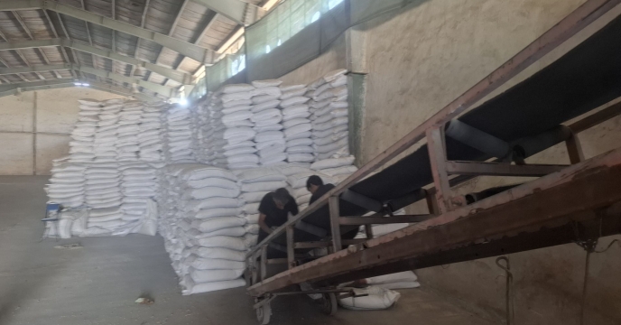 تأمین مقدار 734 تن انواع کود کشاورزی برای حمایت از کشت پاییزه در جنوب کرمان 