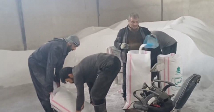 برنامه ریزی برای تامین مقدار10 هزارو 822 تن کود اوره برای کشاورزان شهرستان آق قلا در نه ماهه سال جاری