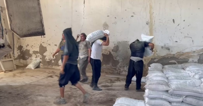 تداوم خدمت رسانی به کشاورزان  گالیکش با توزیع کود مورد نیاز  مزارع و باغات