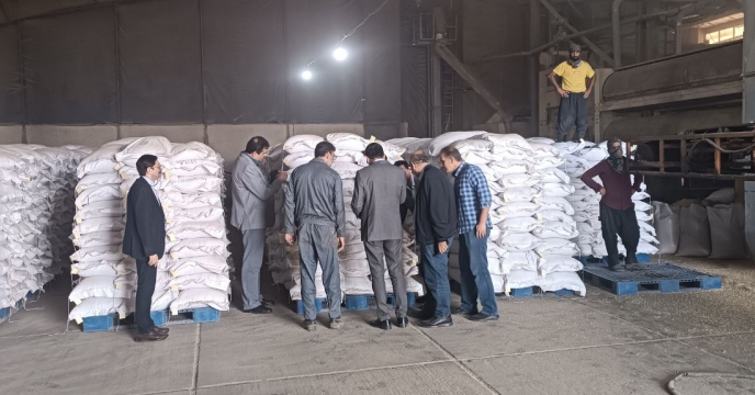 بازدید مدیر  فنی بهبود کیفیت بذر و نهال شرکت خدمات حمایتی کشاورزی وهیئت همراه از روند عملیات بوجاری گندم در انبارقرق گلستان