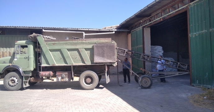 تامین و توزیع 157 تن کود کشاورزی پتاس بر اساس برش کود بهاره در شهرستان ایجرود 