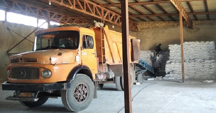 تامین و توزیع 207 تن کود پتاس توسط شرکت خدمات حمایتی کشاورزی استان زنجان 