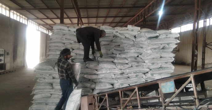 تامین و توزیع 106 تن کود کشاورزی فسفات در شهرستان زنجان بر اساس برش کودی بهاره 