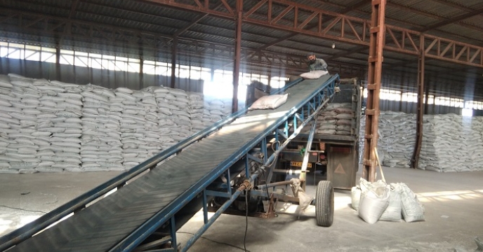 تامین و توزیع 2 هزار و 470 تن کود کشاورزی اوره بر اساس برش کود بهاره در شهرستان ایجرود 