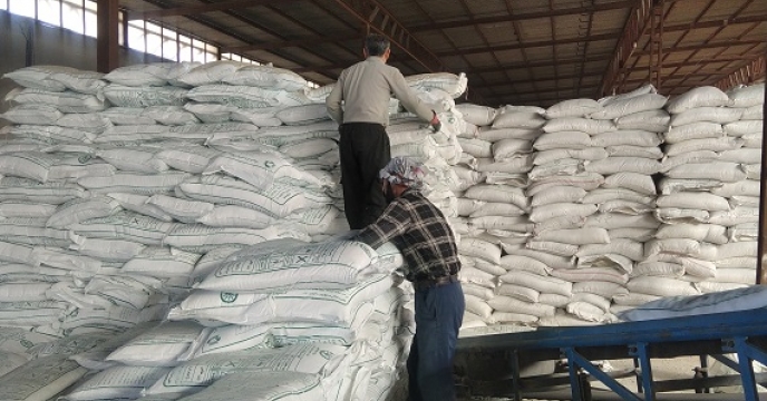 تامین و توزیع هدفمند بیش از 5 هزار و 800 تن انواع نهاده های کشاورزی توسط شرکت خدمات حمایتی کشاورزی استان زنجان 