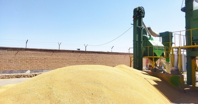 آغاز عملیات بوجاری بذور گندم، جو و ترتیکاله در سایت شرکت خدمات حمایتی کشاورزی خراسان جنوبی