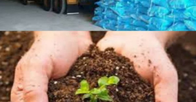 ثبت بیش از چهار هزار و۱۷۴فقره حواله الکترونیکی برای توزیع کود یارانه ای کشاورزان شهرستان گمیشان