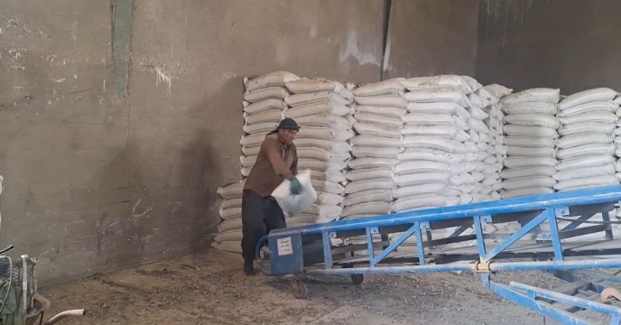 تحویل کود کشاورزی مورد نیاز کشاورزان استان کهگیلویه و بویراحمد به کارگزاران جهت توزیع