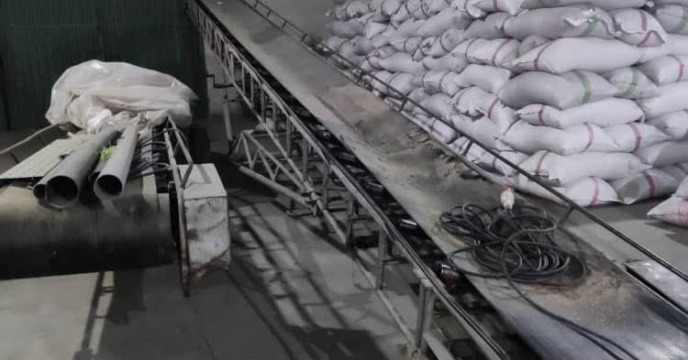 بذر شلتوک برنج اصلاح شده ندا در مازندران تامین شد