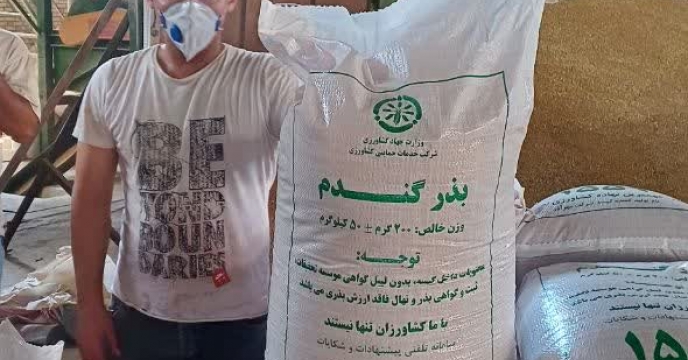 آغاز بوجاری بذور گندم؛گامی برای تامین کشت پاییزه استان سمنان