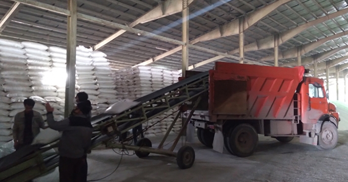 تامین و توزیع 10 تن کود شیمیایی سوپر فسفات تریپل در شهرستان اسدآباد