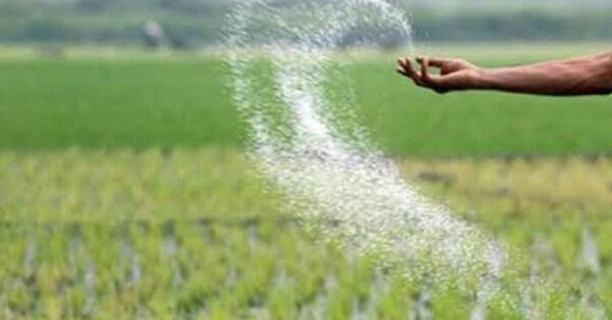 در تیرماه بیش از 1,380 تن کود اوره برای تقویت محصولات کشاورزی در آذربایجان شرقی توزیع شد