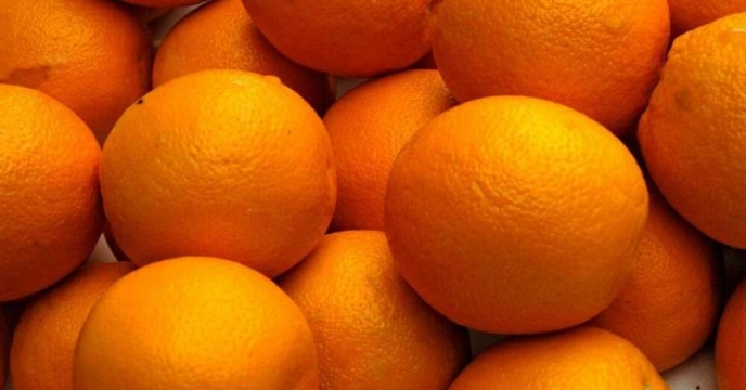 توزیع بیش از 412 تن کود کشاورزی یارانه ای بین باغداران پرتقال در استان گیلان