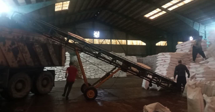 ازت، فسفات و پتاس به مزارع رودسر رسید؛ مدیر خدمات حمایتی گیلان خبر داد