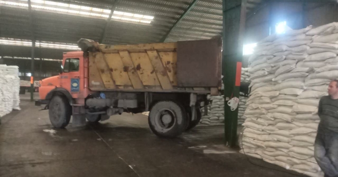 توزیع ۲۵۲۷ تن کود در تالش؛ کشاورزان آماده فصل پرمحصول شدند