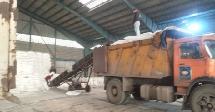 افزایش کیفیت و بهره‌وری باغات کیوی گیلان با تأمین کود کافی