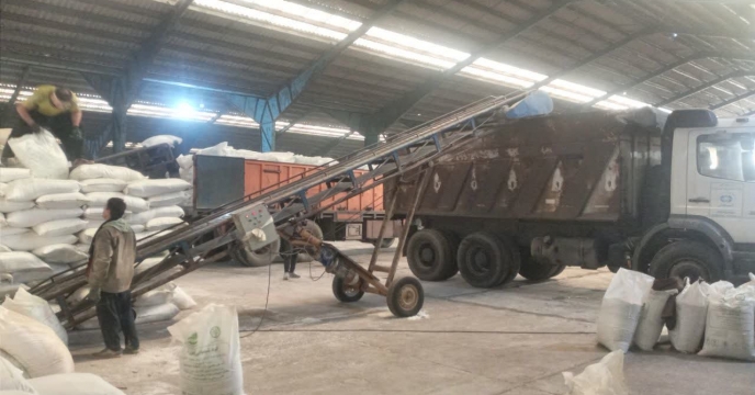 رشد بهره‌وری مزارع شفت با توزیع ۷۱۳ تن کود شیمیایی