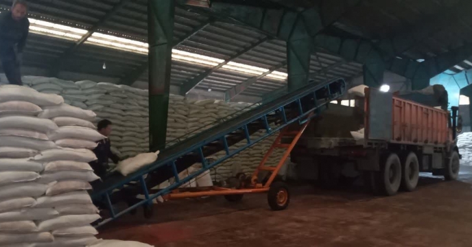 توزیع ۱۰۸۹ تن کود در شهرستان تالش برای تقویت کشاورزی محلی