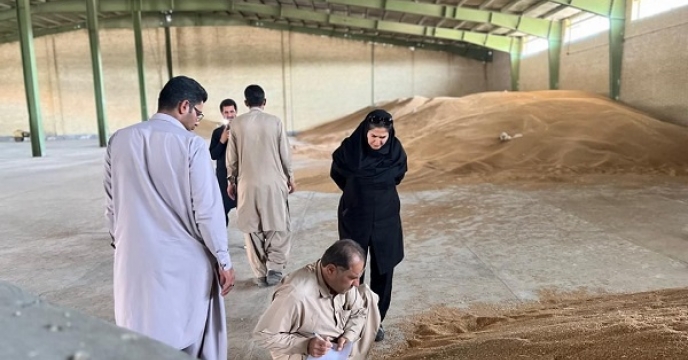 بازدید کارشناس زراعی مدیریت جهاد کشاورزی شهرستان ایرانشهر از انبار 5000 تنی شرکت خدمات حمایتی کشاورزی در شهرستان بمپور استان سیستان وبلوچستان 