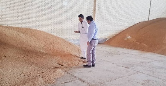 بازدید از انبار5000 تنی سازمانی شهرستان بمپور  انجام شد 