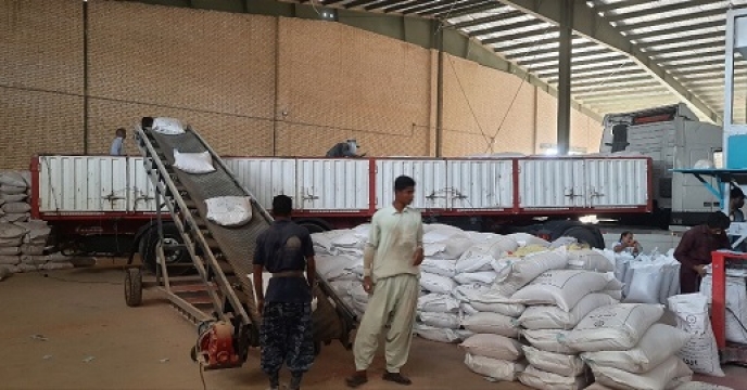 مقدار 25 تن بذر گندم از طبقه سیروان گواهی شده برای  کشاورزان شهرستان چاهشور تامین شد 