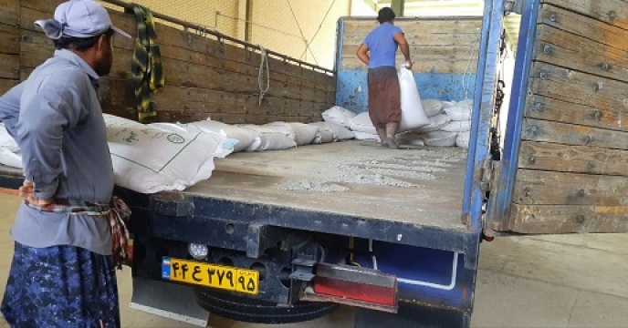 تامین وتوزیع مقدار 7 تن بذر گندم از طبقه سیروان گواهی شده برای شهرستان بمپور استان سیستان وبلوچستان 