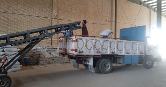 تامین مقدار 5 تن بذر گندم از طبقه سیروان گواهی شده برای کشاورزان شهرستان ایرانشهر 