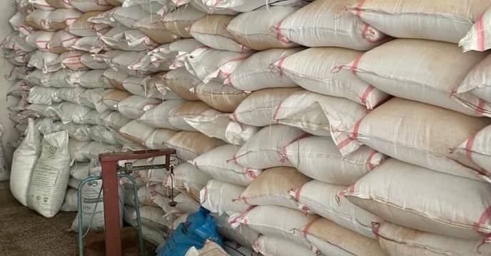مدیر شرکت خدمات حمایتی کشاورزی استان گیلان از میزان بهره‌مندی شالیکاران استان از کود یارانه‌ای گفت