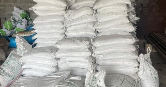 ۲۱ هزار حواله کود شیمیایی تحویل کشاورزان فومن شد؛ از مزایای کودهای ازت، فسفات و پتاس بهره‌مند شدند