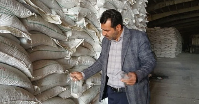 انجام عملیات نمونه گیری در انبار سازمانی شرکت خدمات حمایتی کشاورزی استان چهارمحال و بختیاری