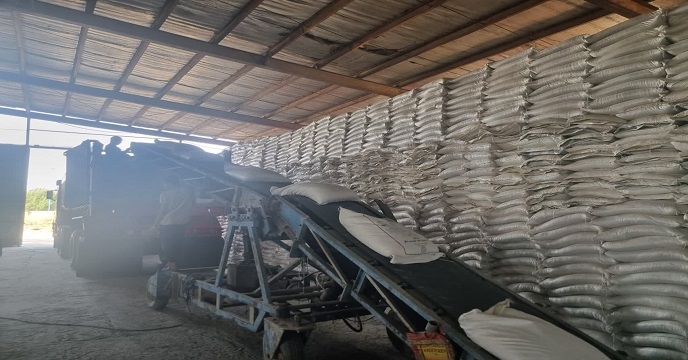 ارسال و توزیع 35هزار و 975 تن کود کشاورزی اوره به مقصد کلیه کارگزاریهای استان خوزستان در آبان ماه سال 1404 انجام شد