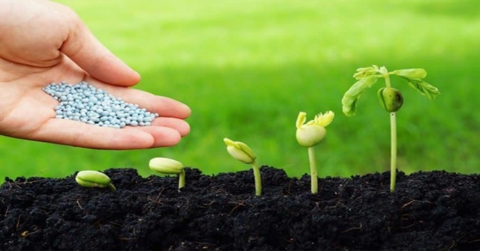 بیش از 45 هزار تن انواع نهاده کشاورزی در سطح استان خوزستان توزیع شد