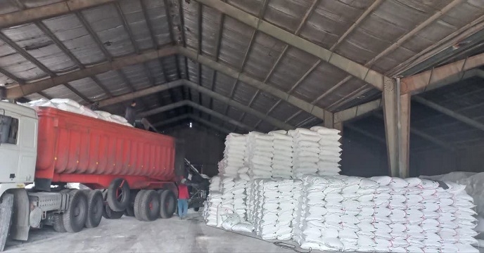 توزیع مقدار 225 تن کود کشاورزی فسفات از طریق سامانه پایش برای کشاورزان شهرستان ایذه