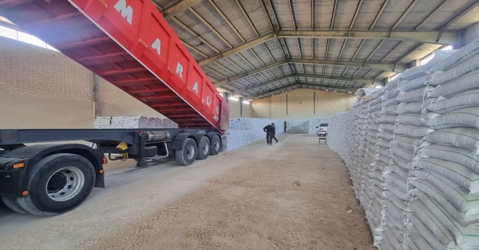 میزان 2625 تن کود کشاورزی اوره از شرکت خدمات حمایتی کشاورزی استان خوزستان به استان کردستان در آذر ماه سالجاری تامین و ارسال شد