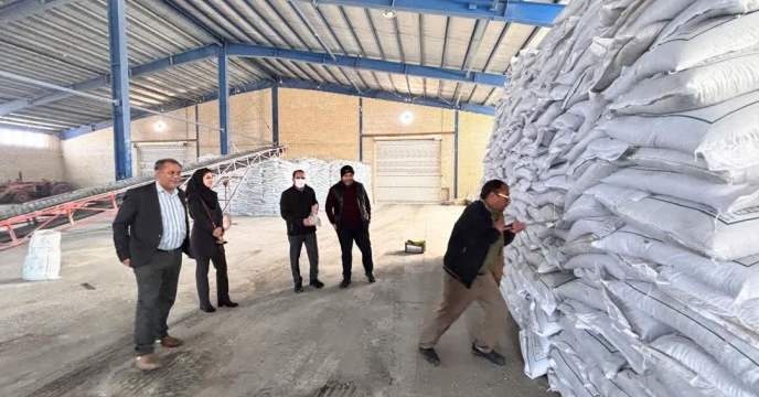 نمونه برداری از کود سوپر فسفات ساده در انبار شرکت خدمات حمایتی کشاورزی خراسان جنوبی