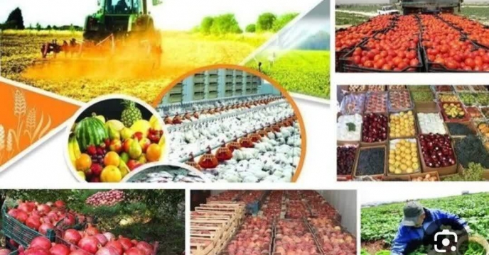 ارسال 496 تن انواع کودکشاورزی به کارگزاری‌های این استان در دی‌ماه سال جاری 