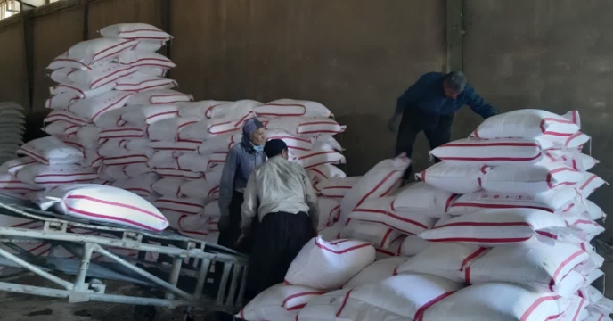 پایش کارگزاران شهرستان کنگاور 