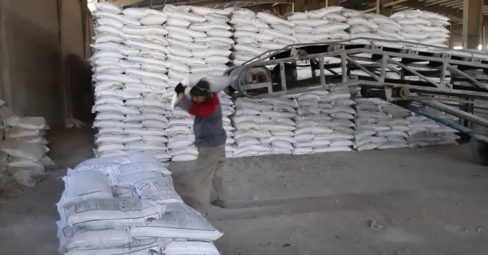 ذخیره سازی و پارت چینی کود سولفات پتاسیم گرانوله در انبار شرکت خدمات حمایتی کشاورزی استان کرمانشاه