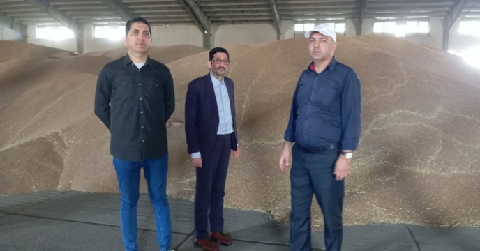 بازدید معاون فنی و تولیدی شرکت خدمات حمایتی کشاورزی استان گلستان از فرآیند بذور خریداری شده گندم در مرکز خرید بذر انبار قرق