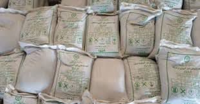 بیش از 107  کود برای تقویت مزارع چغندر قند شهرستان آق قلا توزیع شد