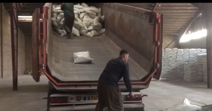 توزیع  مقدار 5 تن  انواع کود کشاورزی یارانه ای برای کشاورزان آفتابگردان شهرستان کلاله در شش ماهه سال۱۴۰۴